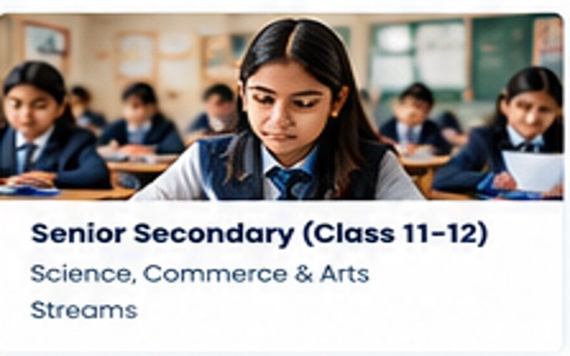 Senior Classes